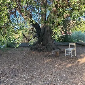 Casa Olea Casa vacanze Sorso